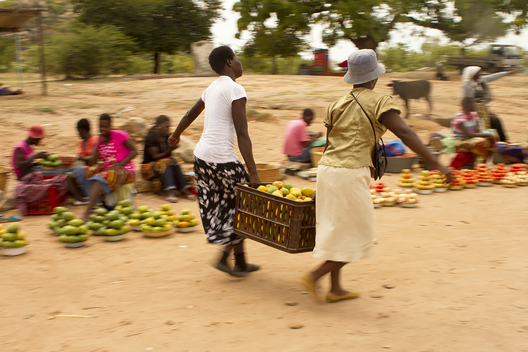  December 16, 2014: Duduzile Ncube (L) is helped by a fellow vendor in Mutoko, a small town about 144 km from Harare, where she purchases mangoes to sell in Harare when they are in season.  &nbsp; 