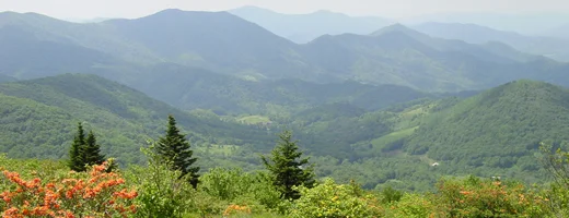 Cherokee National Forest.jpg