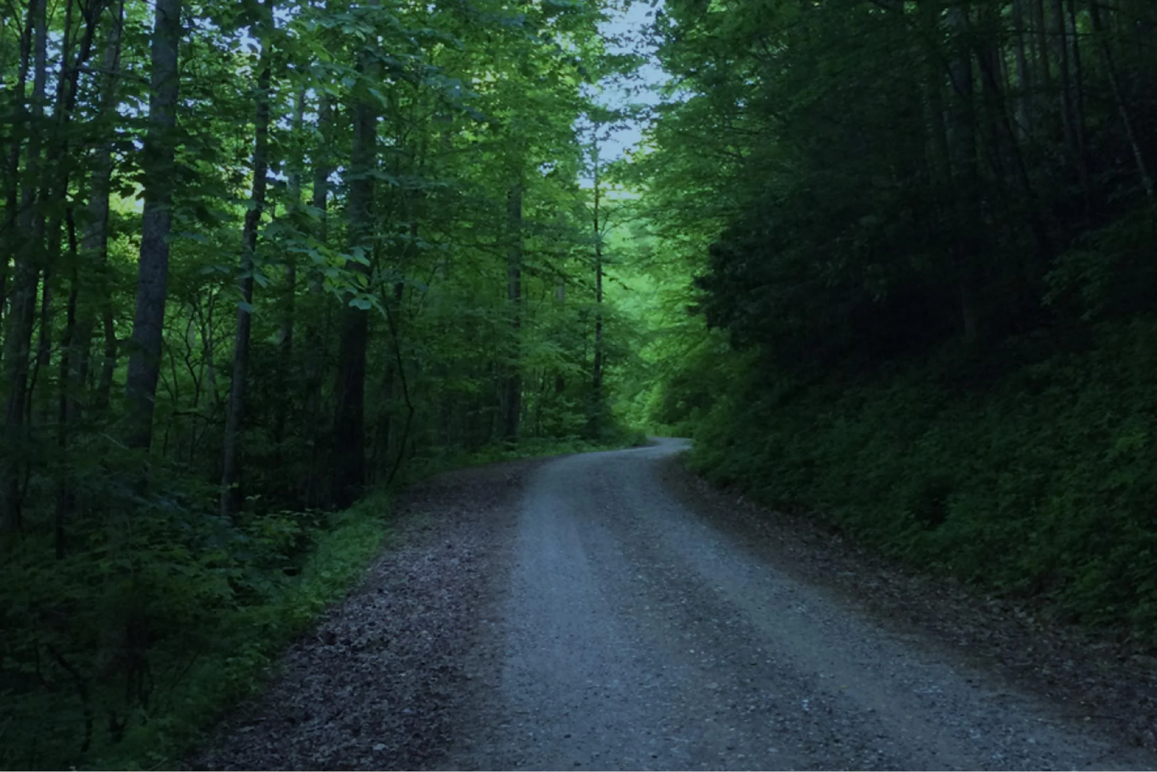 A modern road along The Trail of Tears in Cherokee National Forest