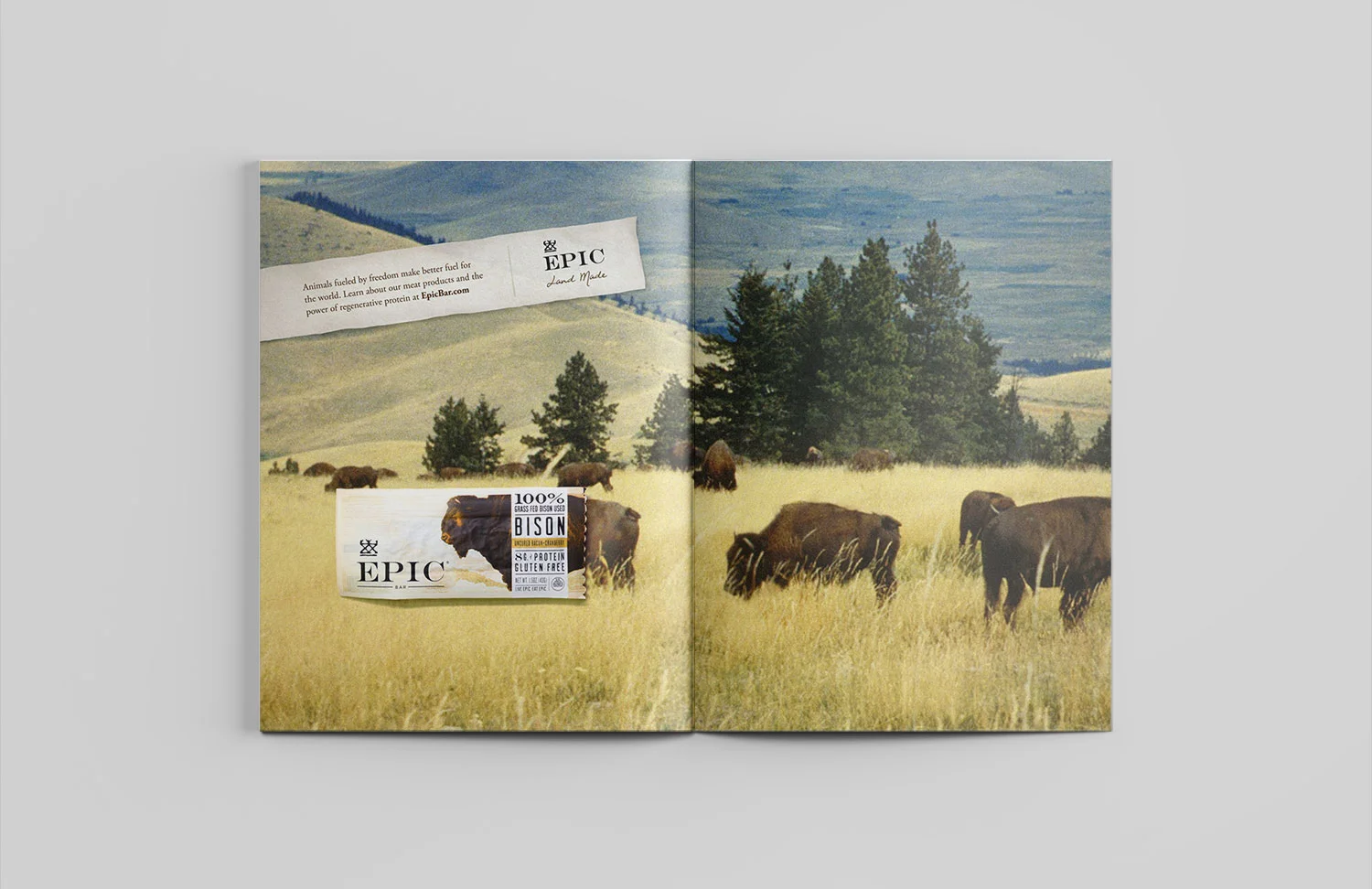Epic-spread-mockup-7AUG2017.jpg