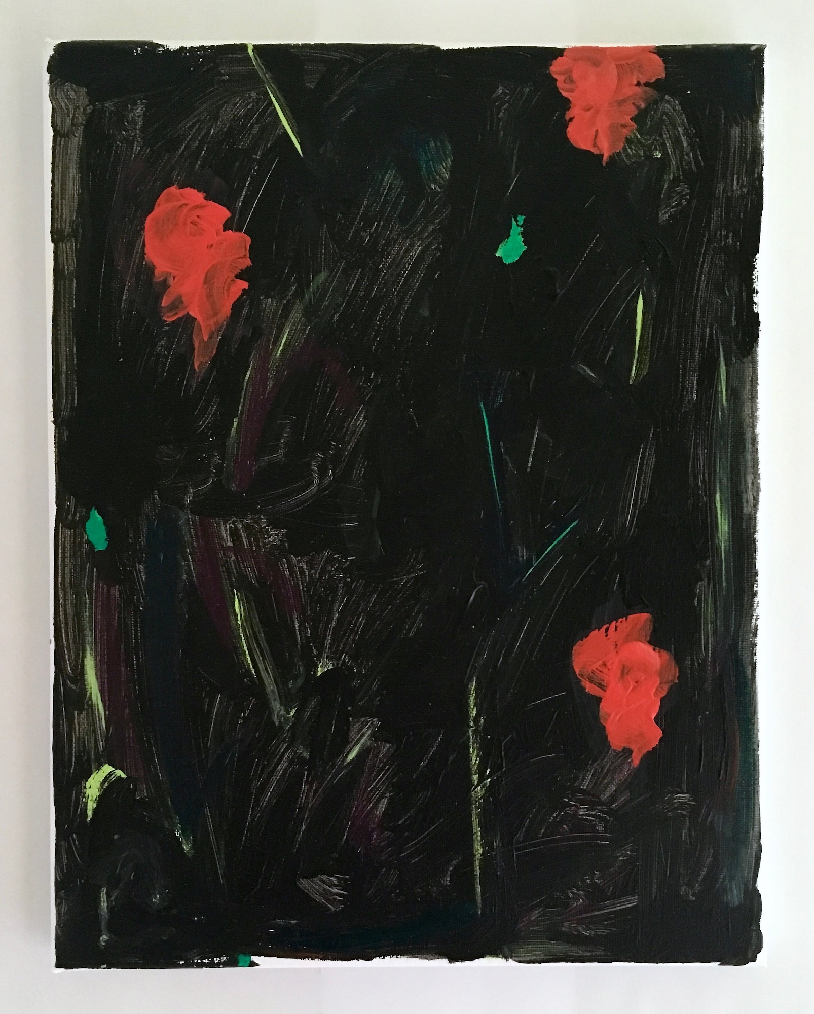 Night Garden