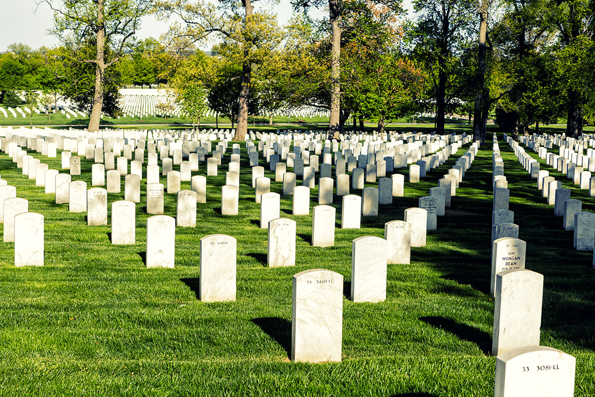 arlington02.jpg