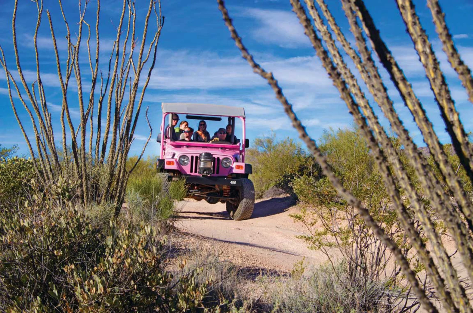 pink jeep.jpg