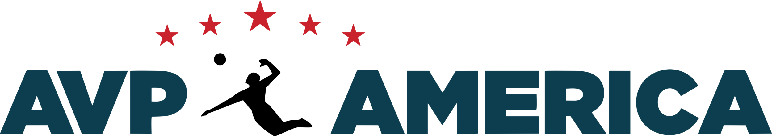 AVPA horizontal logo.png