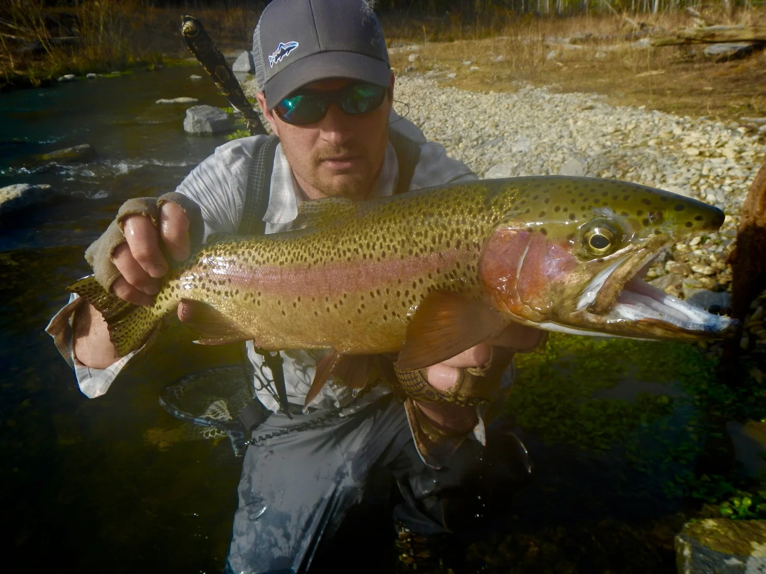 Kentucky Tenkara Rainbow Trout .jpg