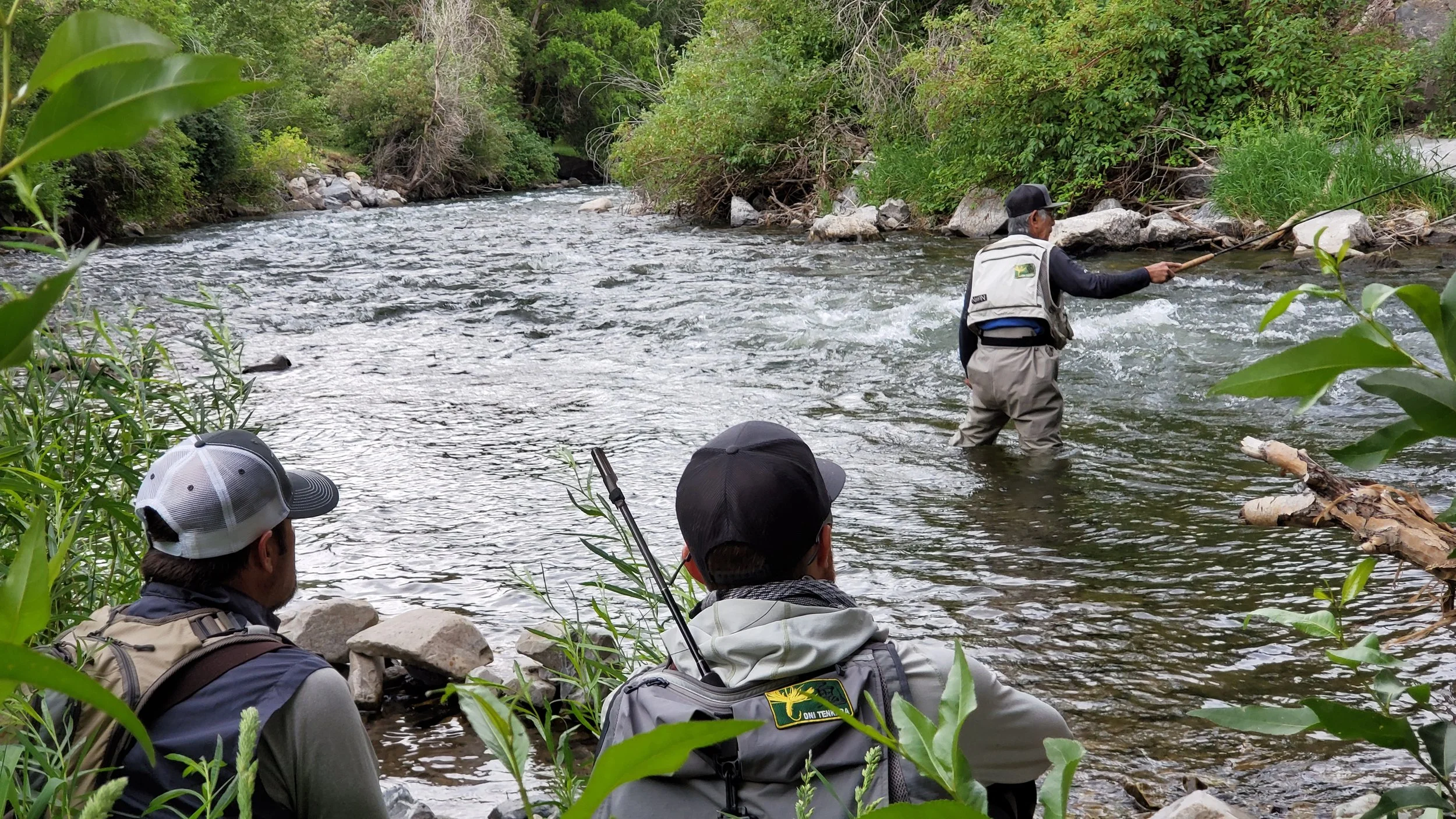 ONI PRIVATE GUIDE HALF DAY 2023