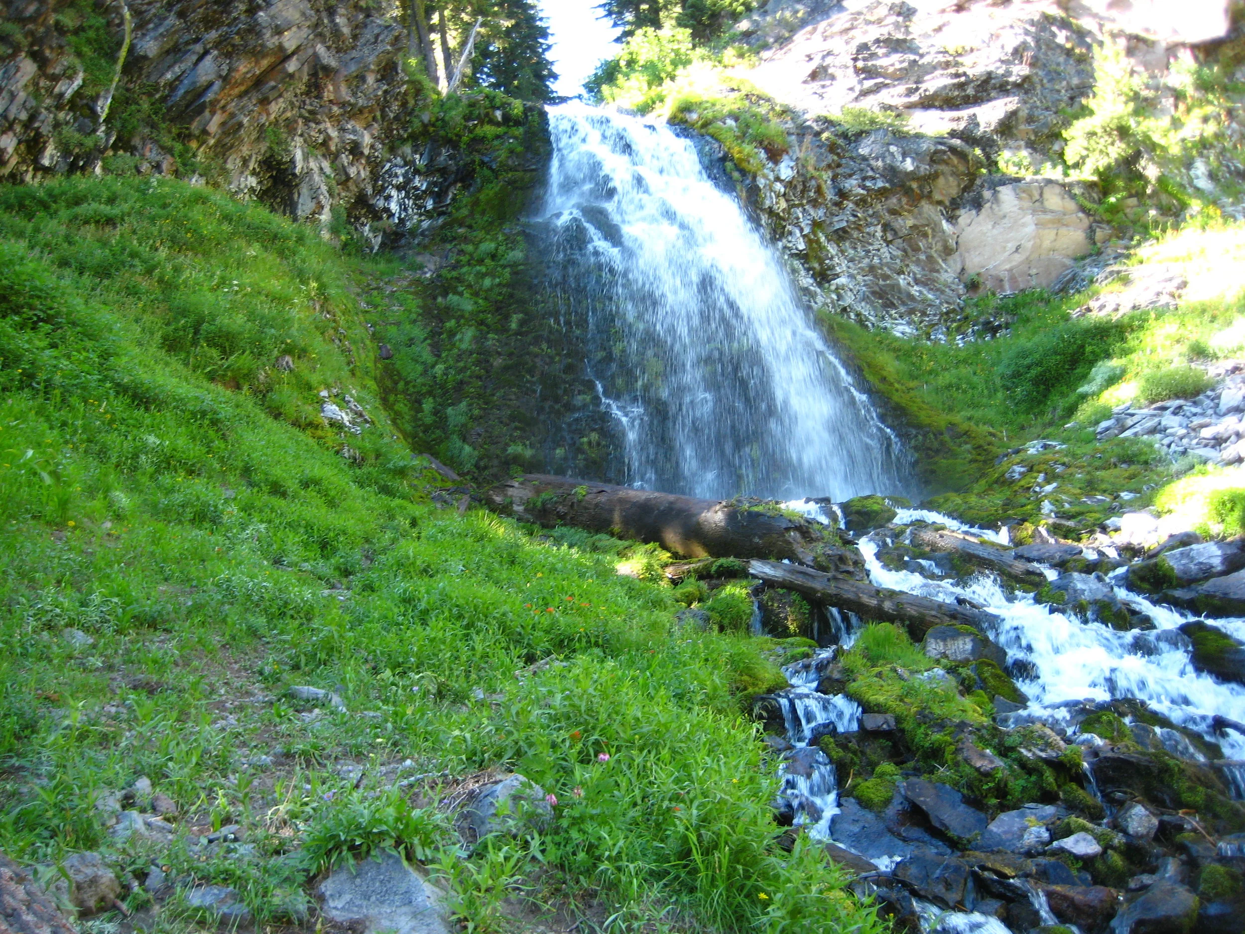 IMG_4747.JPG