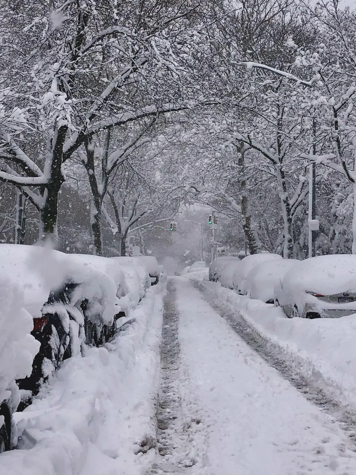 Blizzard 2/23/2026
#blizzard2026