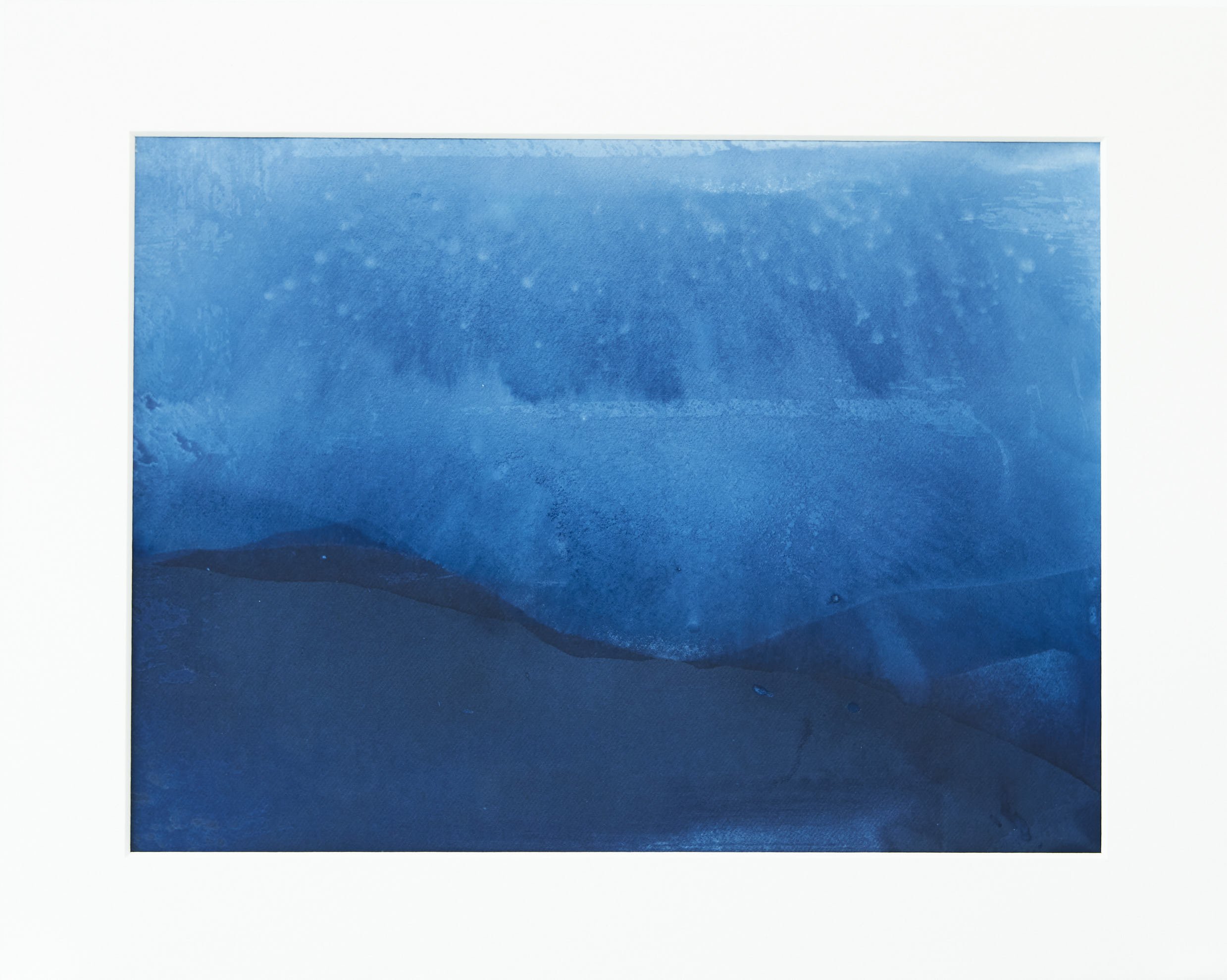  IL-Halford-2021-015 Cyanotype on paper  Print 9x12in  