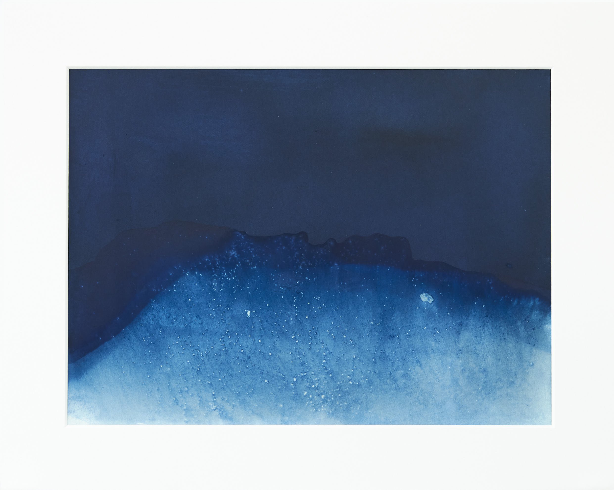  IL-Halford-2021-016 Cyanotype on paper  Print 9x12in  