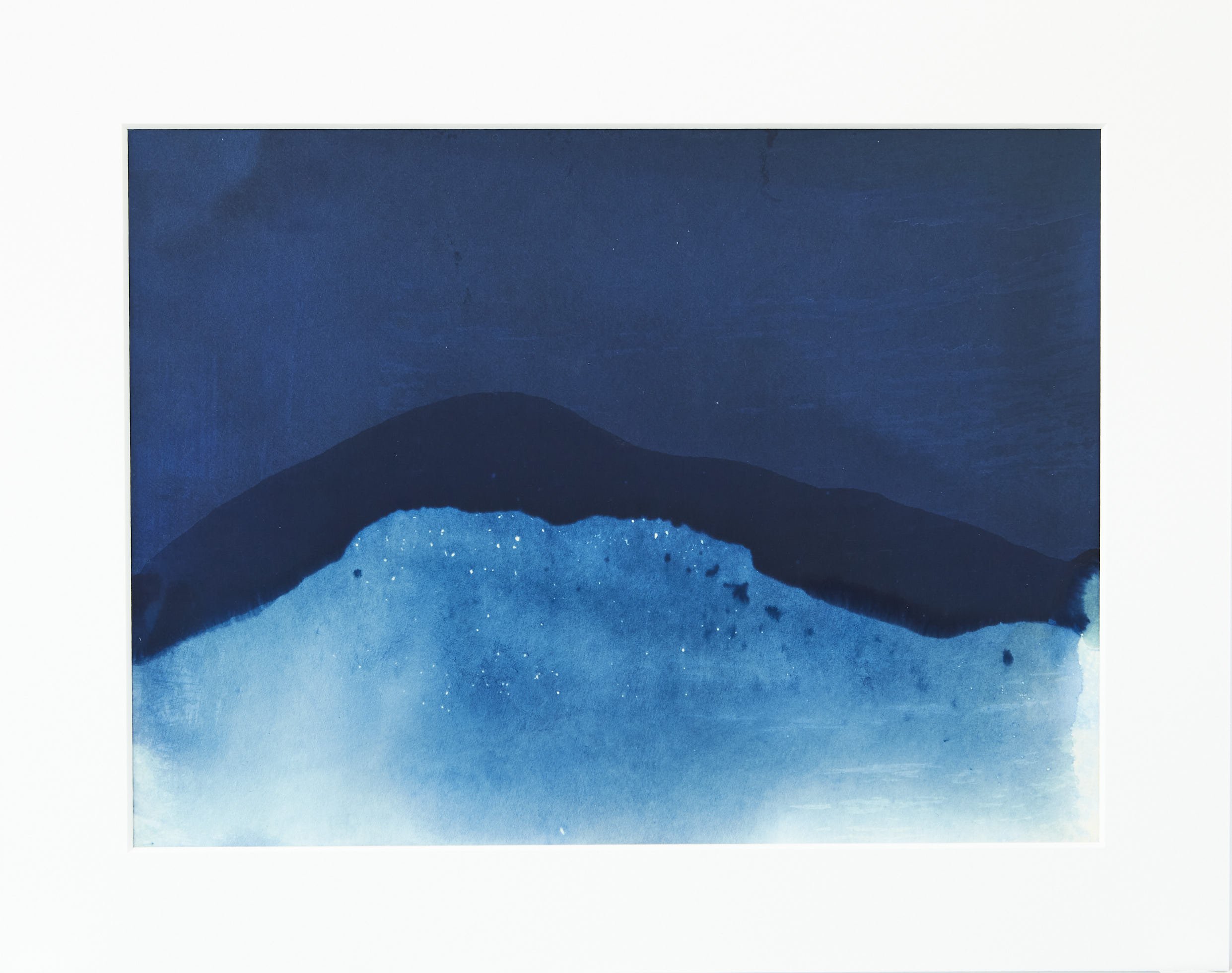  IL-Halford-2021-017 Cyanotype on paper  Print 9x12in  