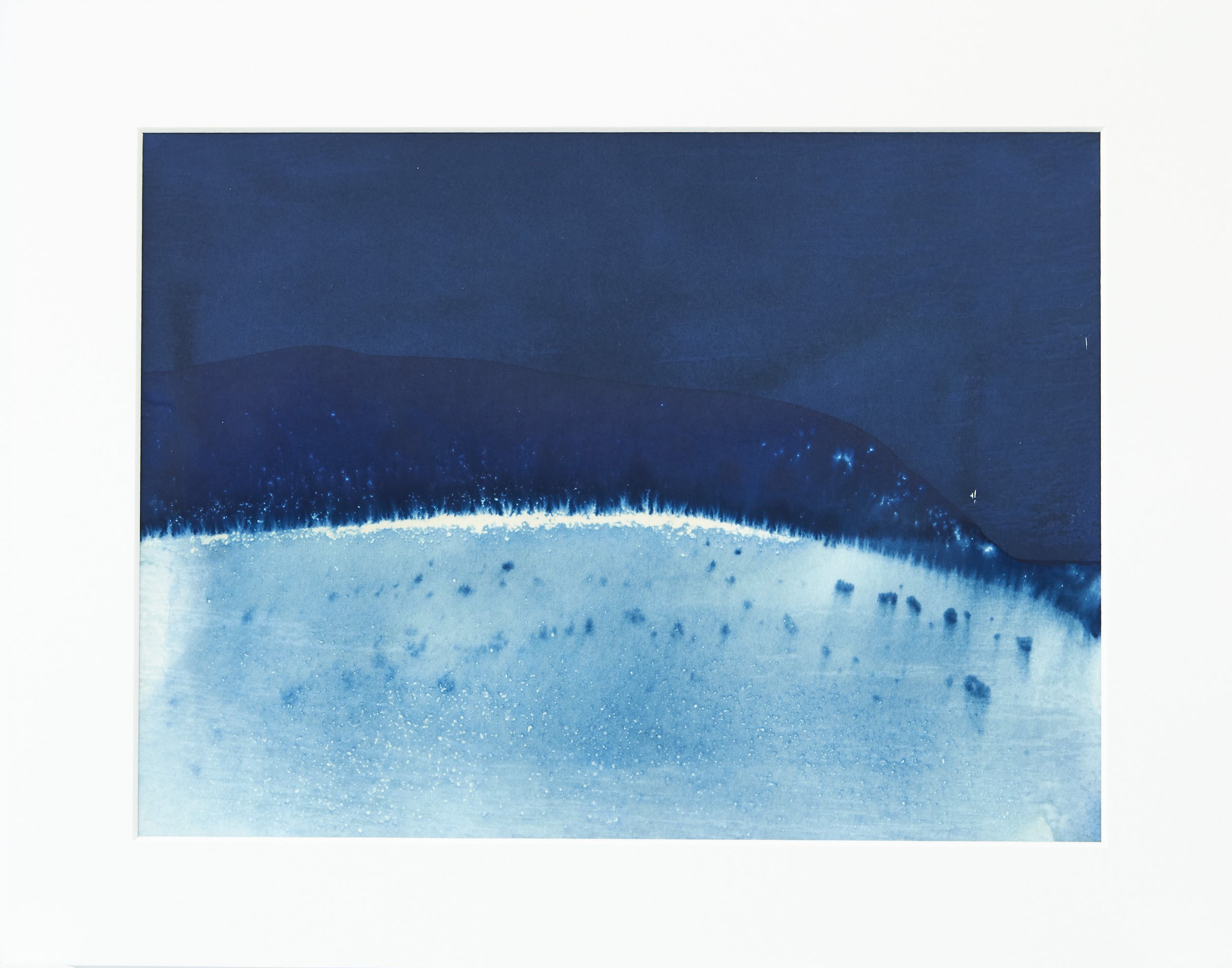  IL-Halford-2021-018 Cyanotype on paper  Print 9x12in  