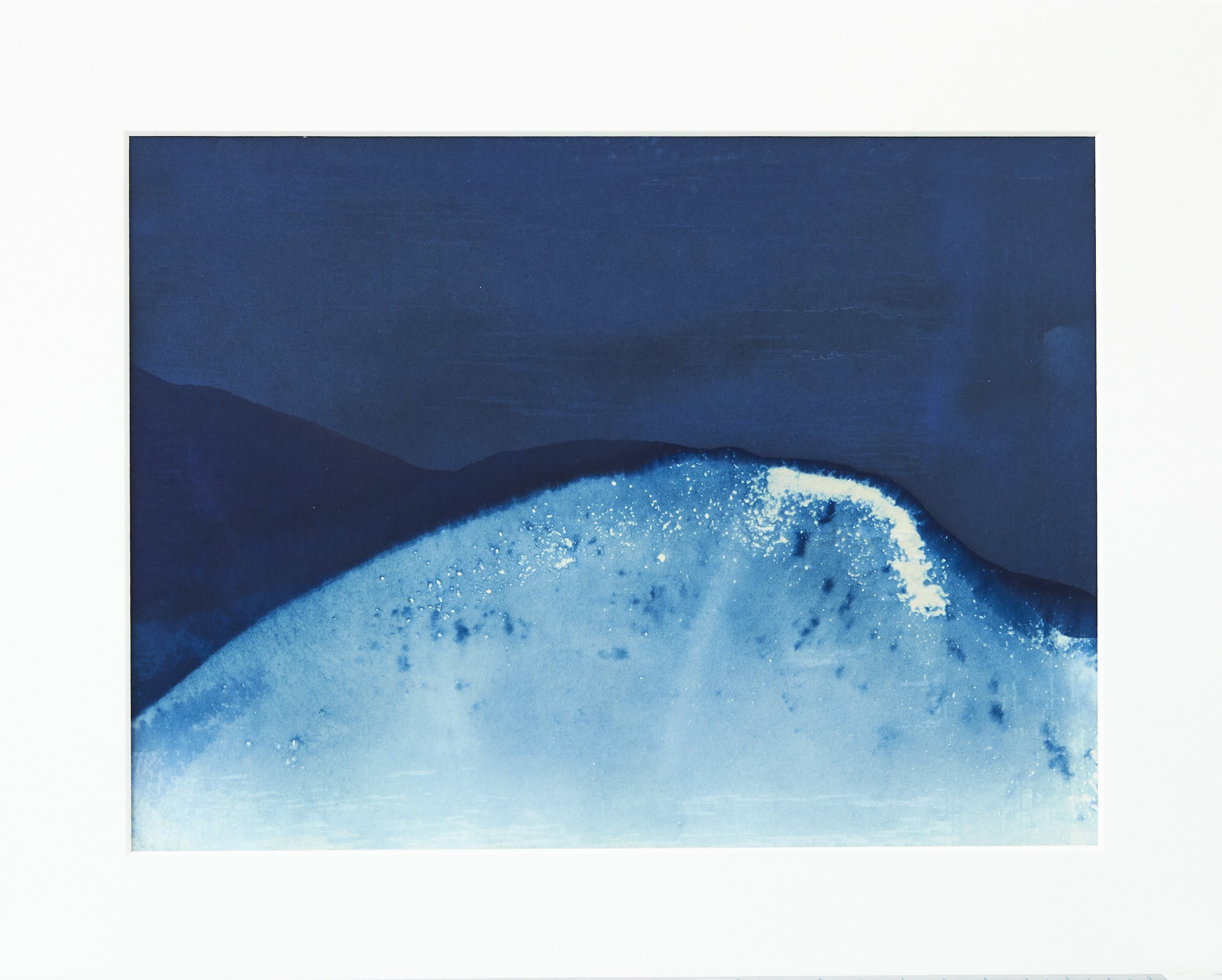  IL-Halford-2021-018 Cyanotype on paper  Print 9x12in  