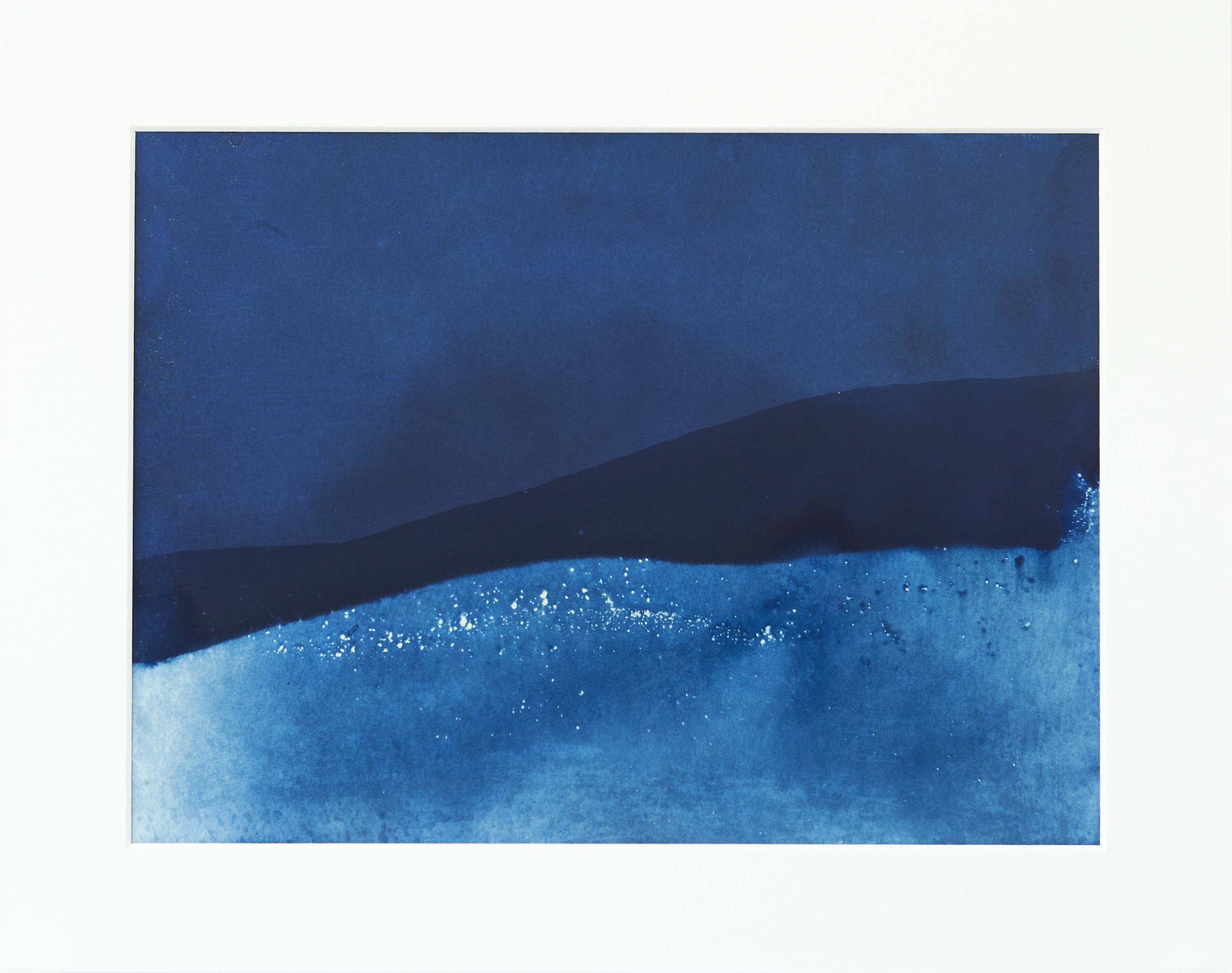  IL-Halford-2021-020 Cyanotype on paper  Print 9x12in  