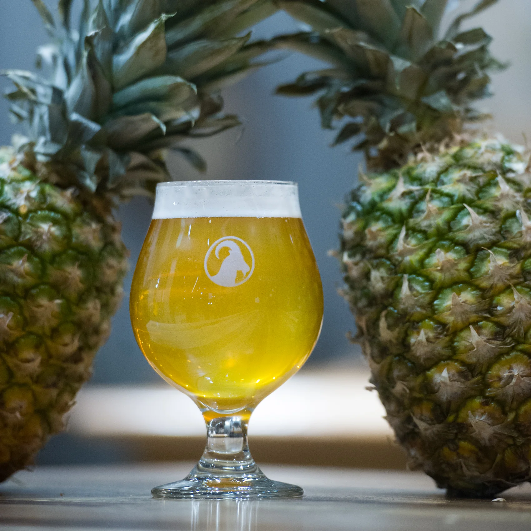 Firkin Friday | Pineapple Sour