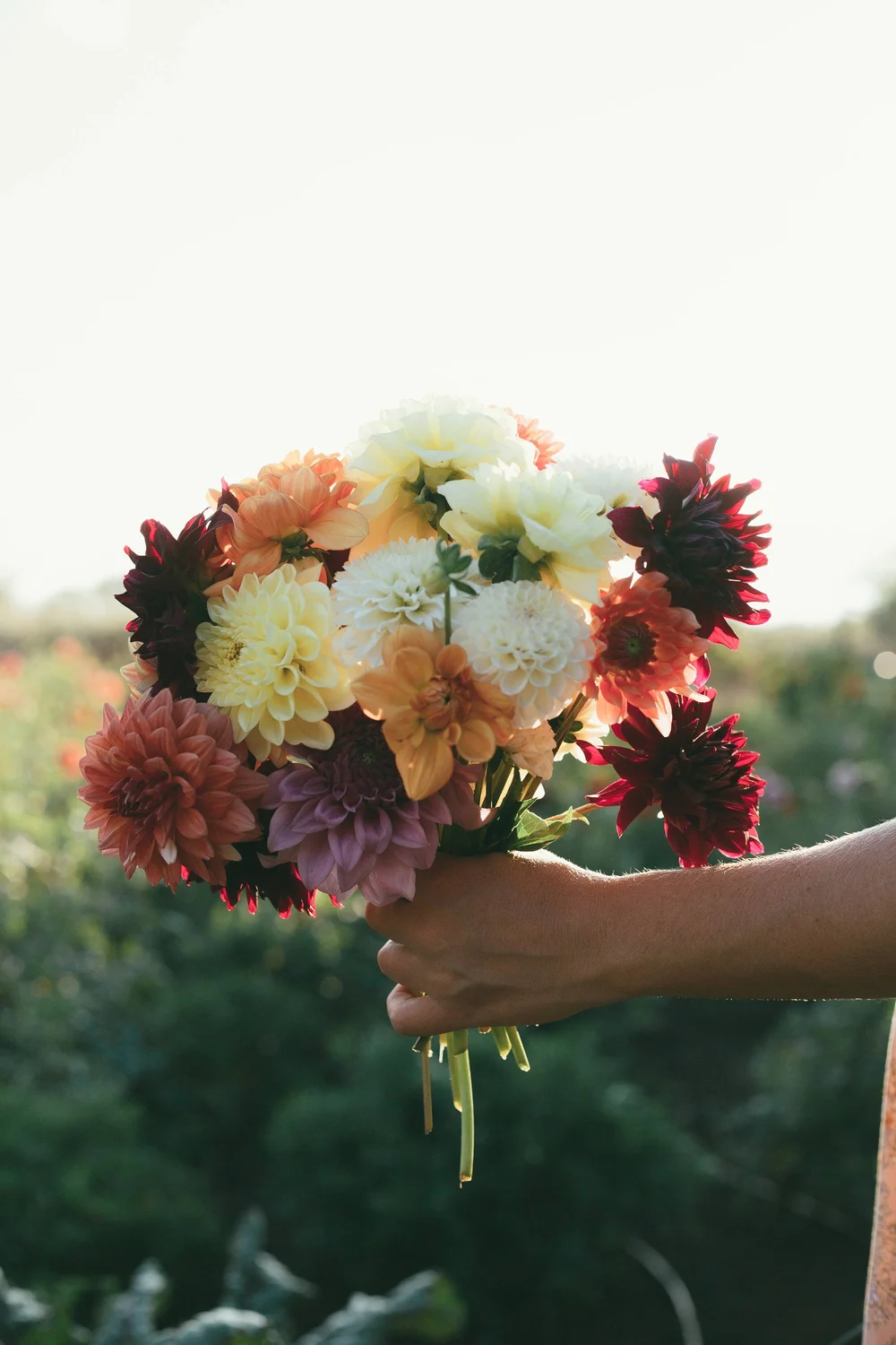 Florist Kula Hawaii Waiakoa Wildflowers