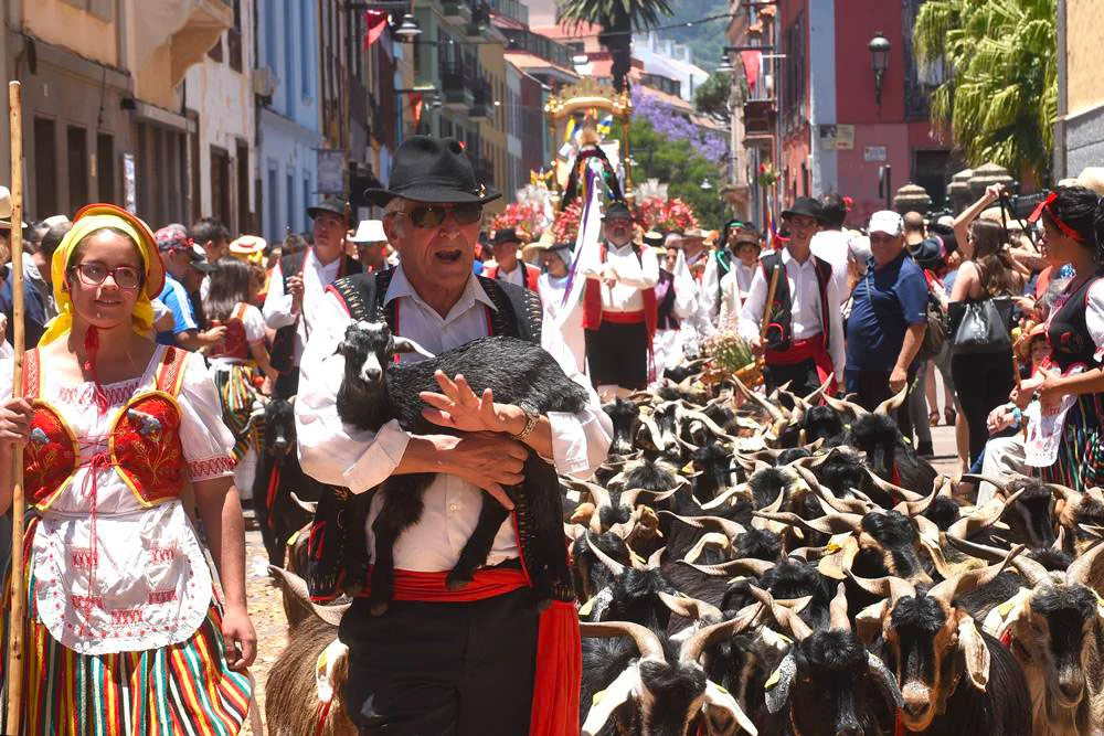 romeria_San_benito_la_laguna.jpg