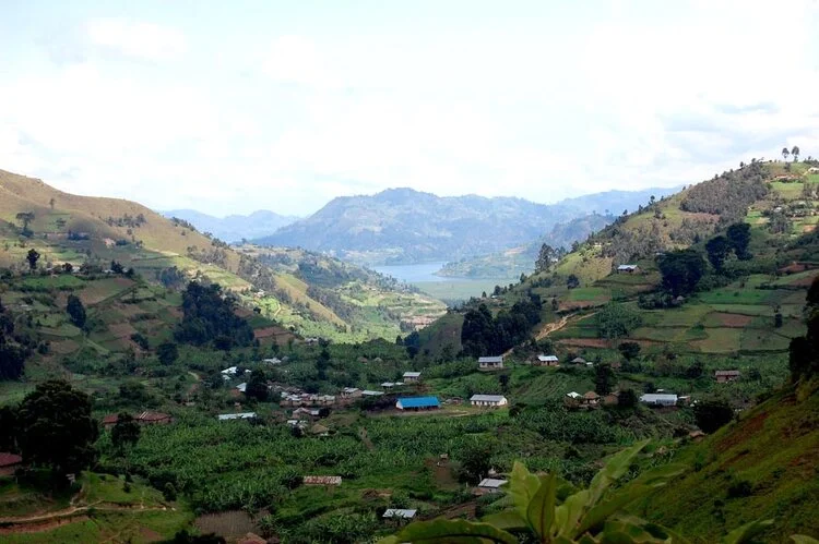 The Kisoro Countryside: Photo from www.einstein.yu.edu
