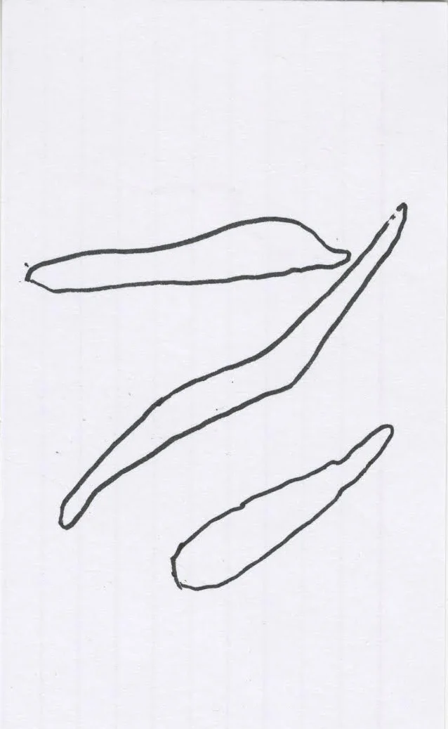 unnamed-63.jpg