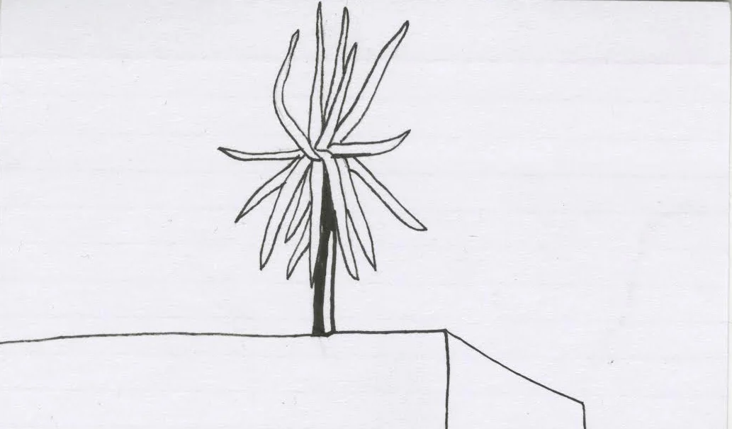 unnamed-47.jpg