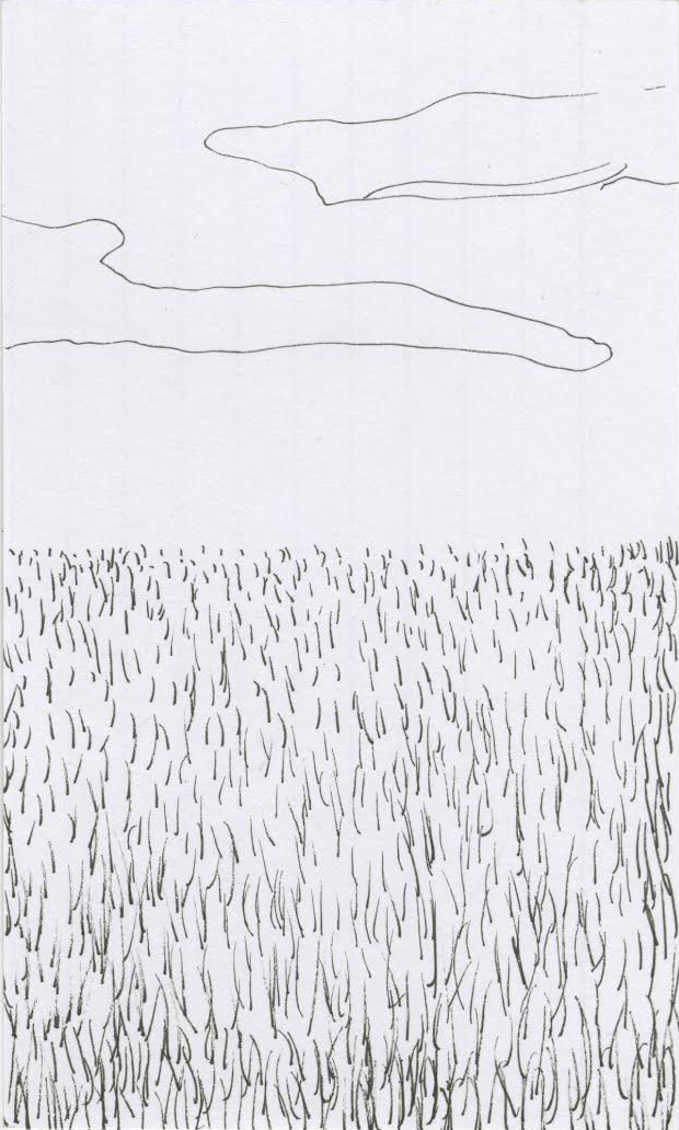 unnamed-50.jpg