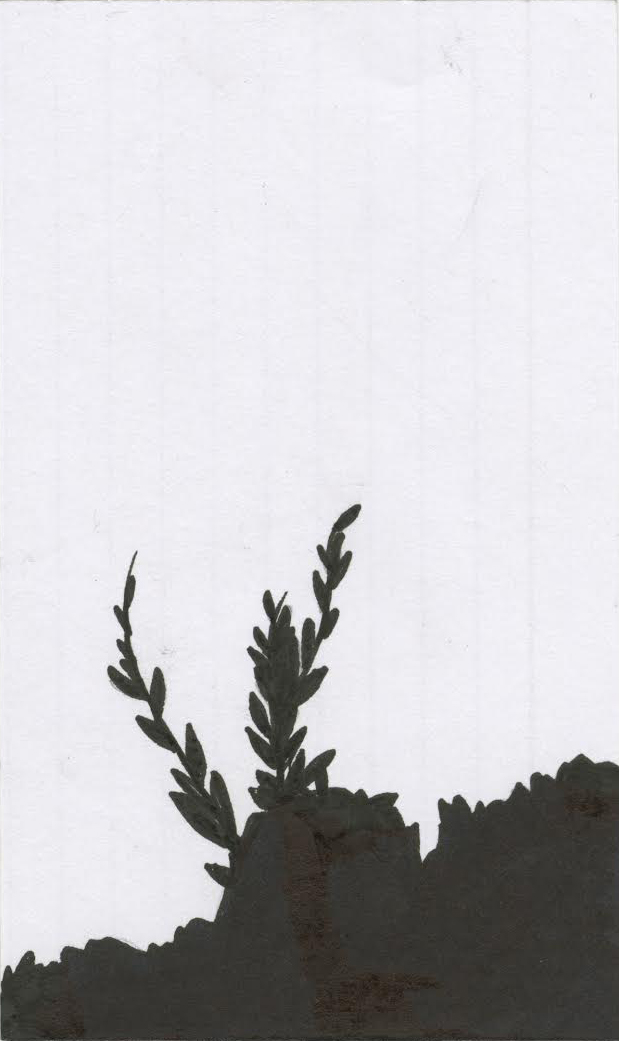unnamed-14.jpg