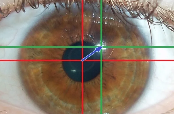 Eye tracking. Image by Björn Markmann.