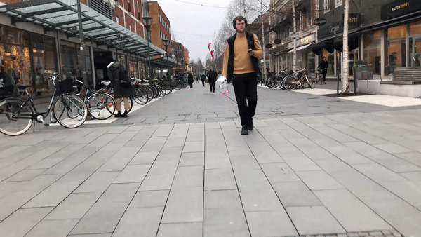 walkingwithloki.gif