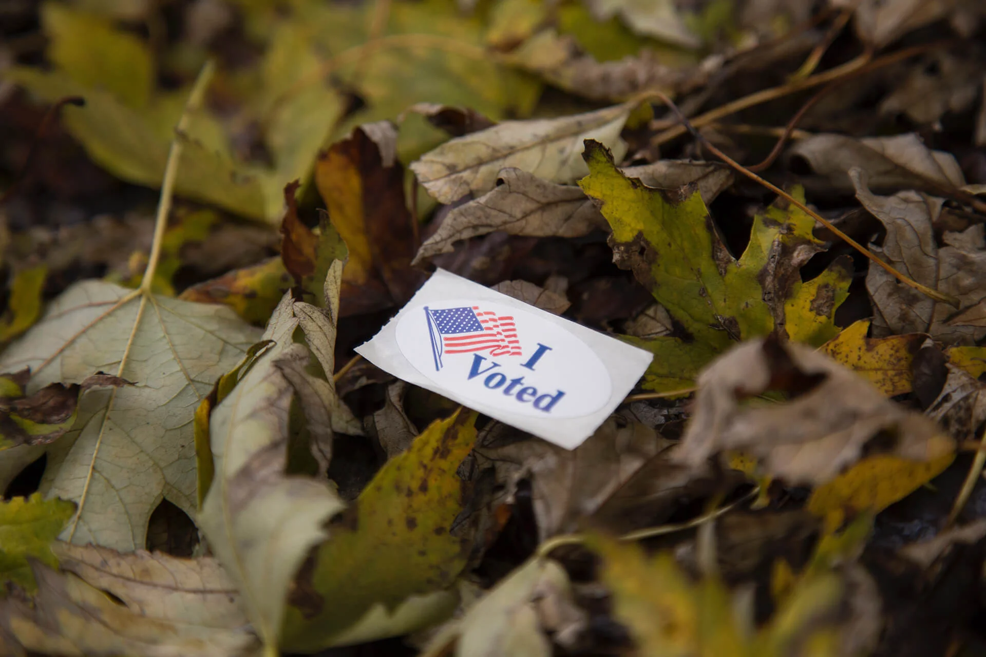 week-39-what-i-need-to-know-about-the-electoral-college.jpg