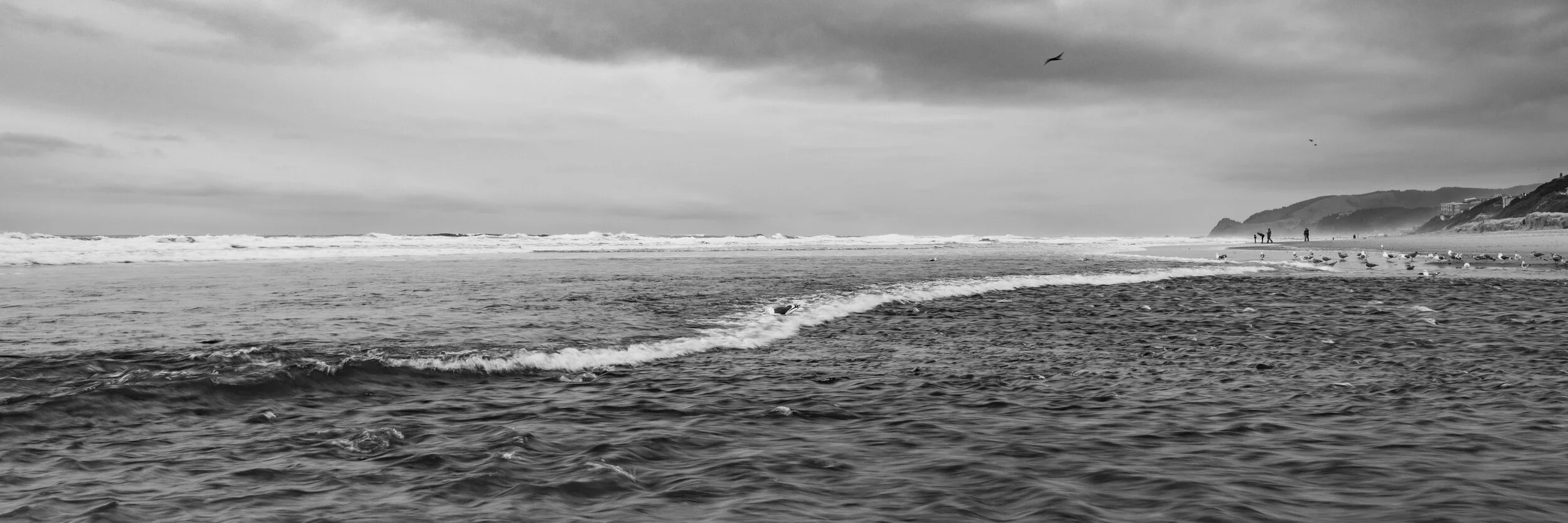 _DSC0395.jpg