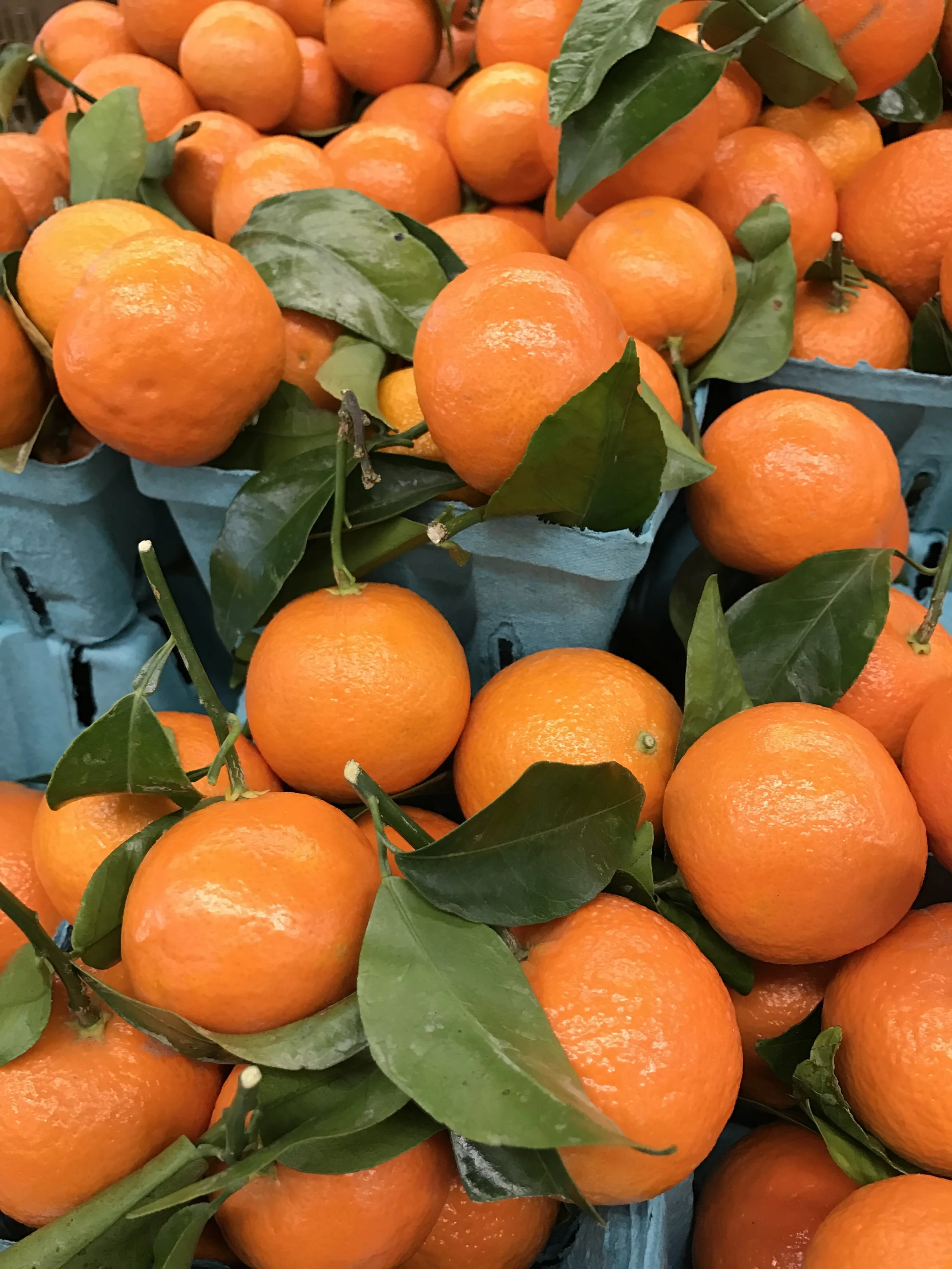 Friday Favorites 110