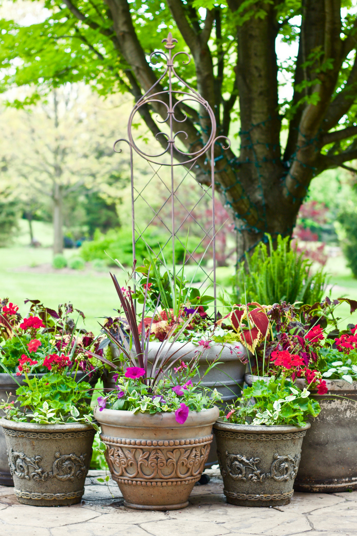 Simple Steps to Create Your Best Container Garden — cardio coffee ...