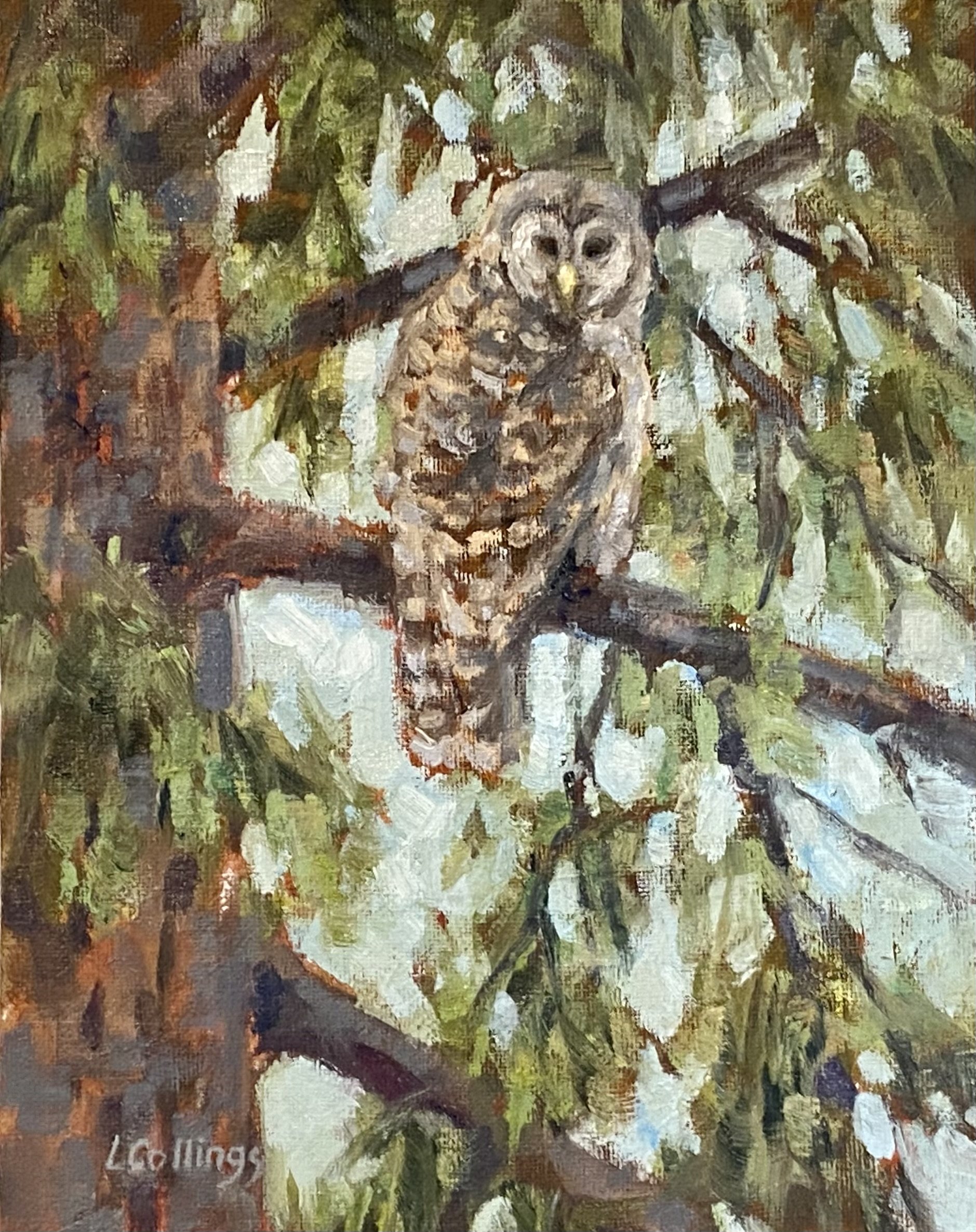 Quiet Watcher