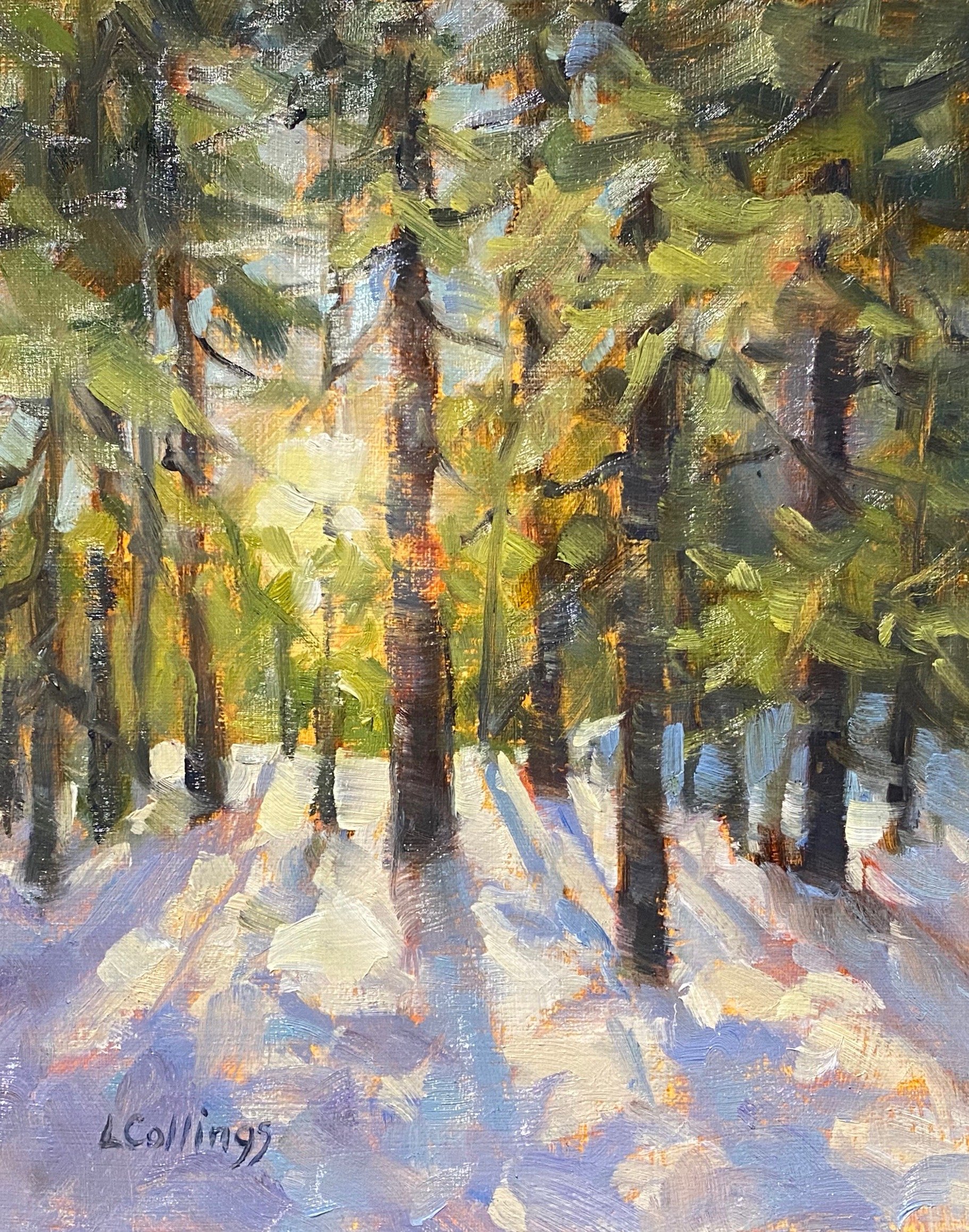 SOLD - Afternoon Shadows