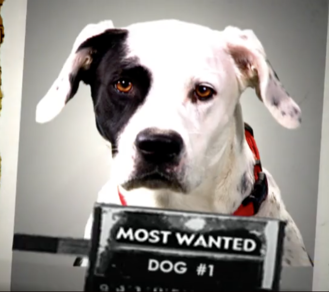 Screen Shot 2017-02-05 at 12.13.04 PM.png