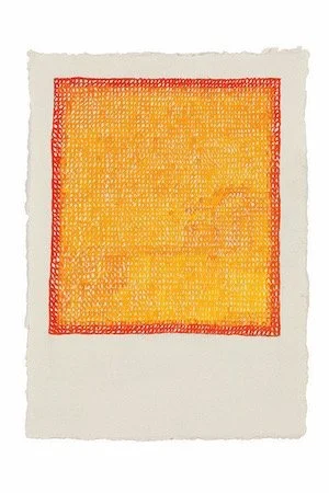 Scourer Bright 2010