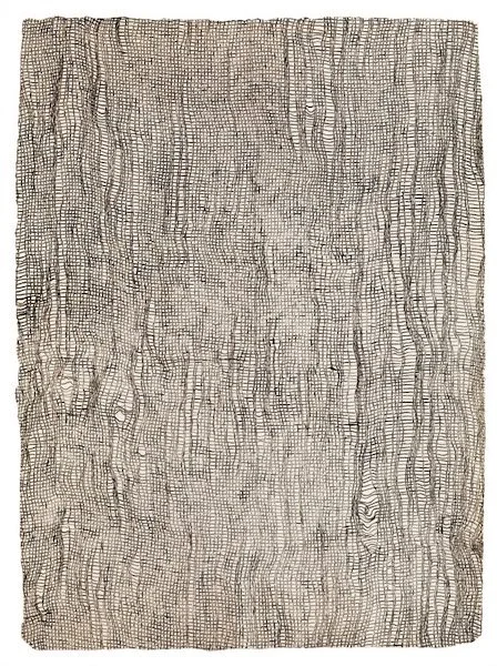 Snakes & Ladders 2013