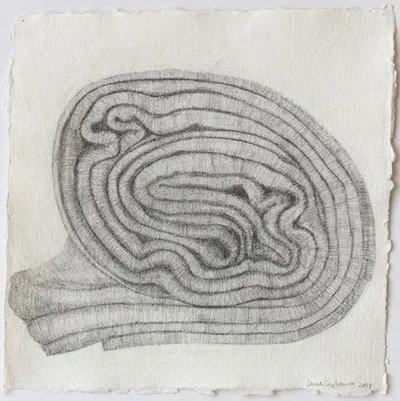 Intricately Rolled 2018