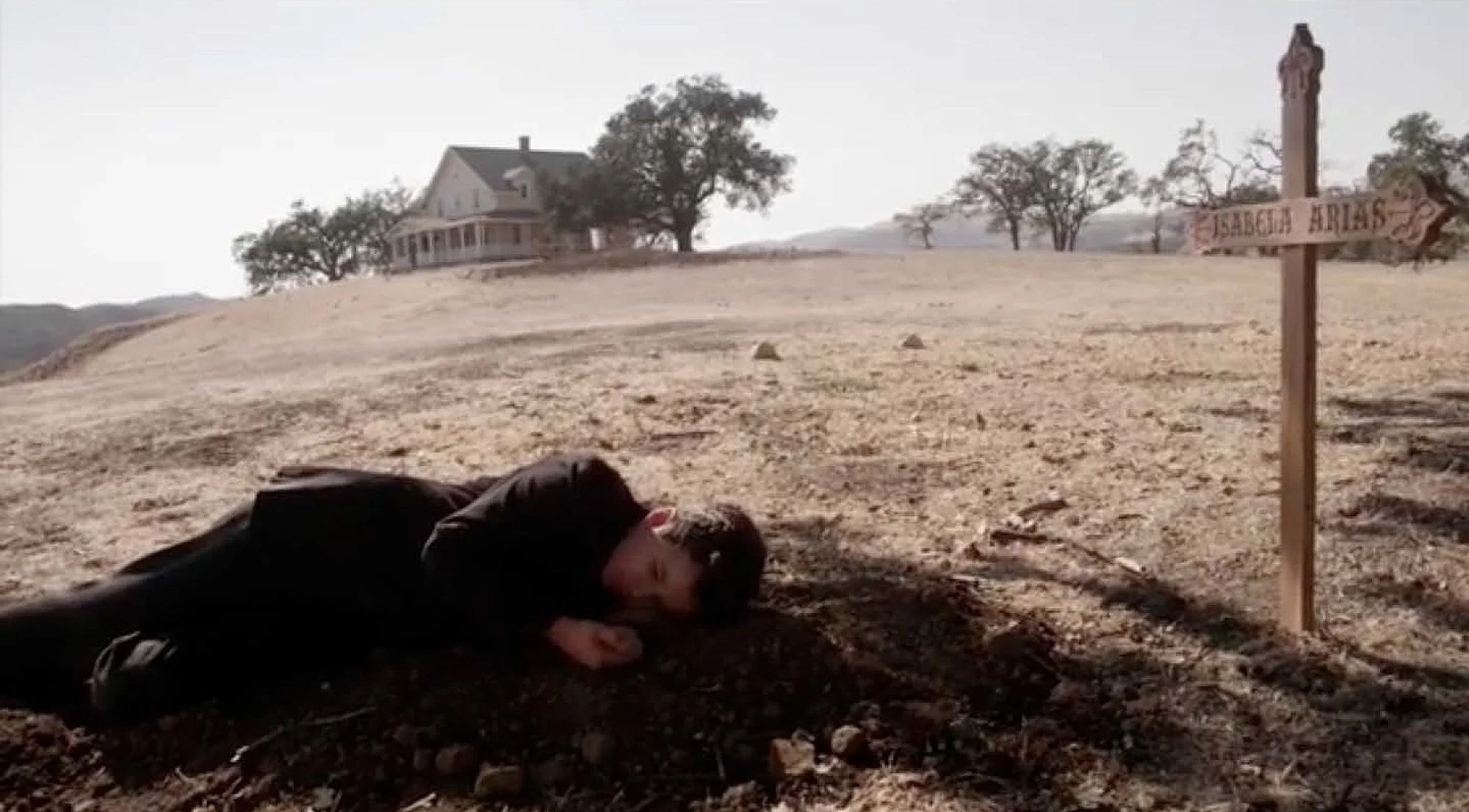 ALC-01.jpg