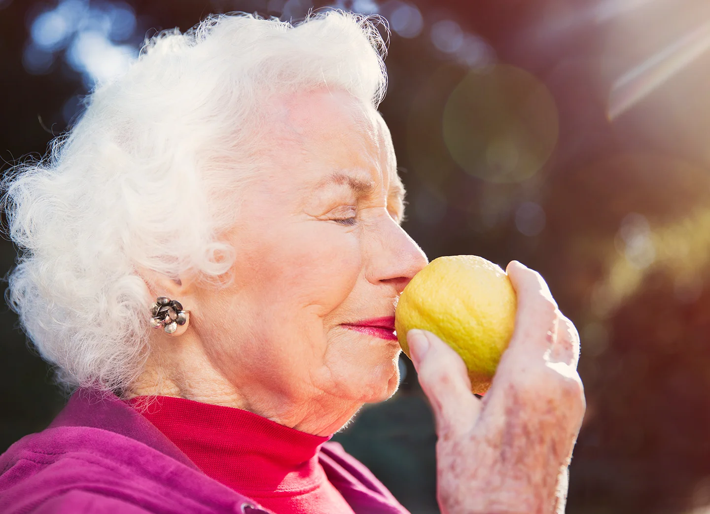 2018-02-06_Sanders-BLA-0728lemon.jpg