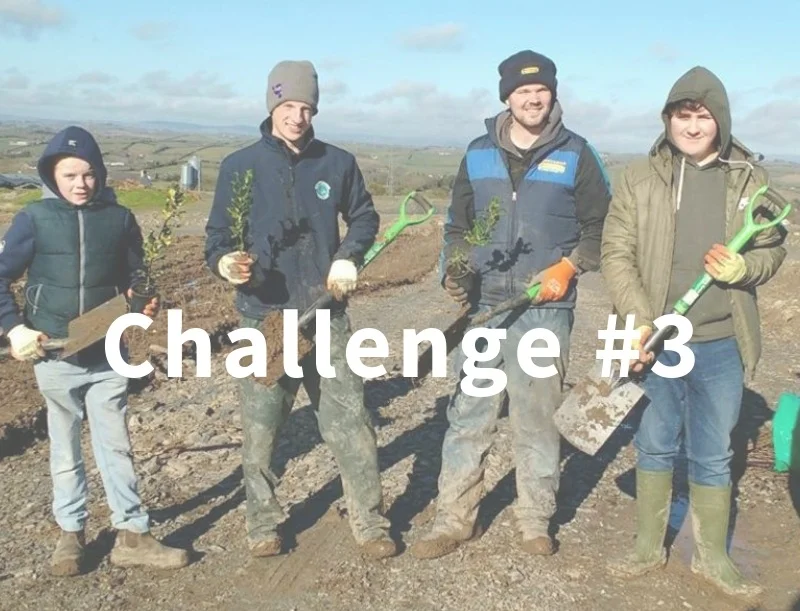 Challenge+3.jpg