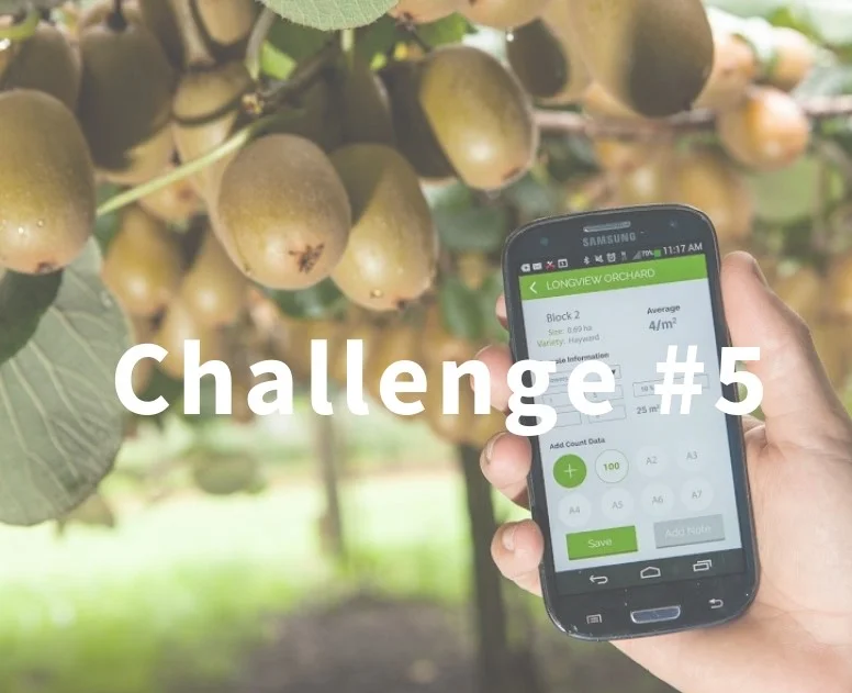 Challenge 5.jpg