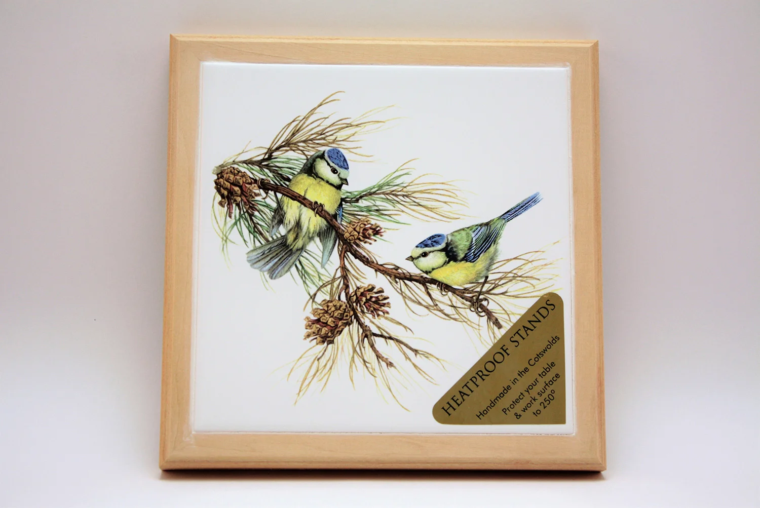 601BirdBluetit.JPG