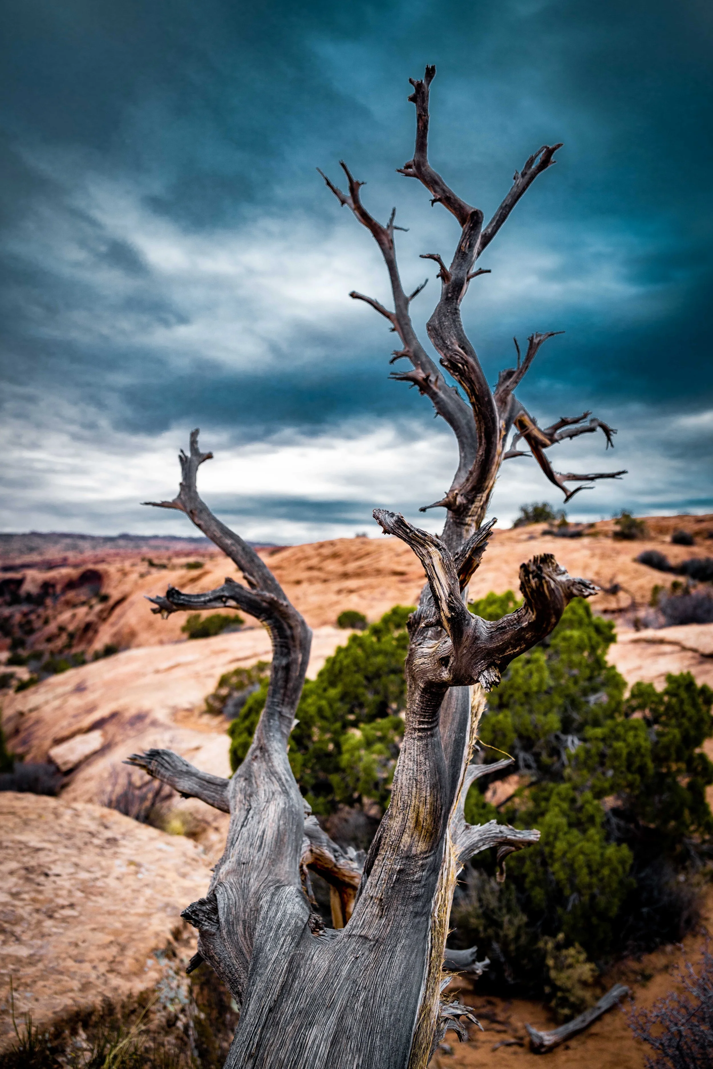 23_Sorensen_Moab_1.14.22-33.jpg