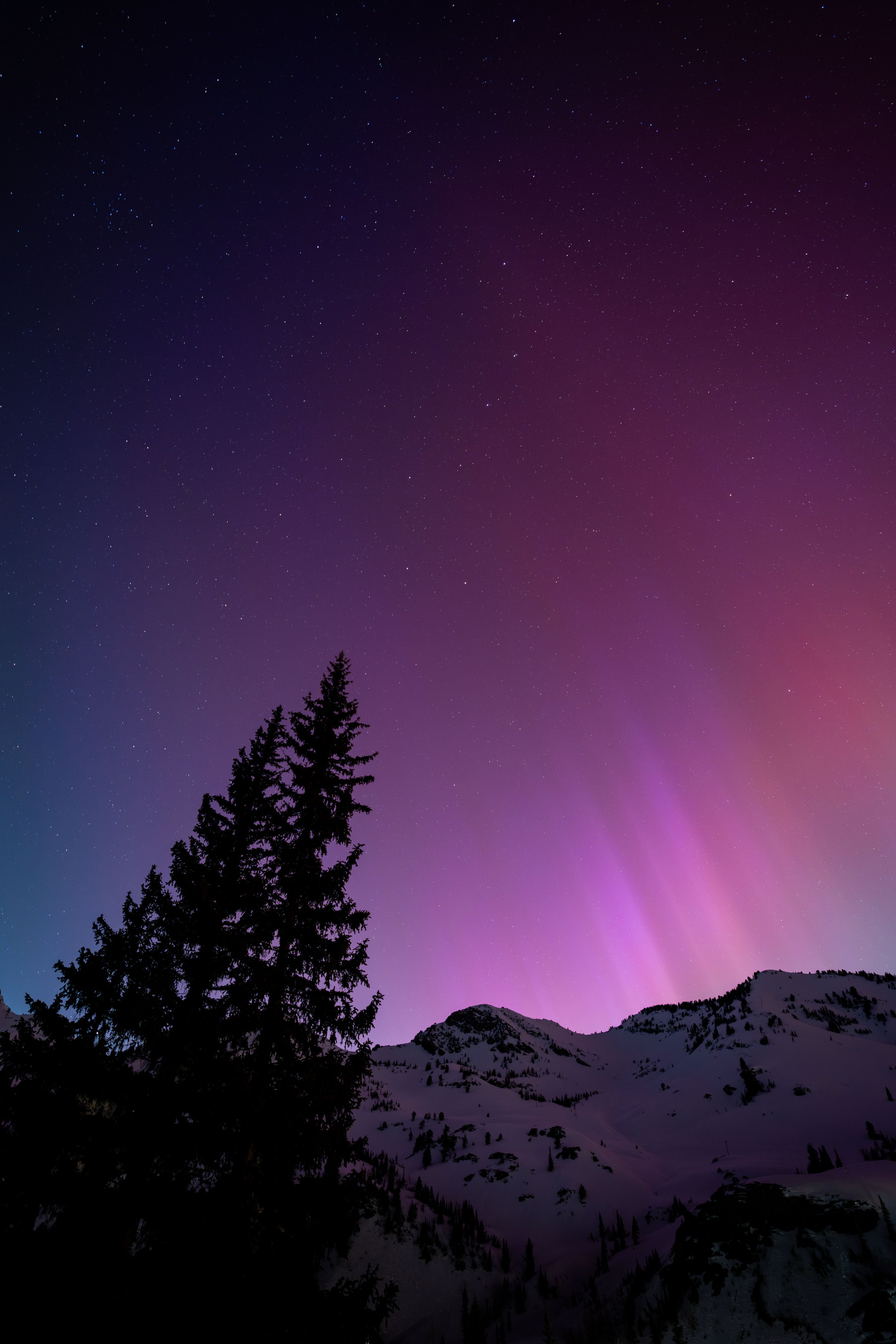 24_Sorensen_AltaAurora-62.jpg