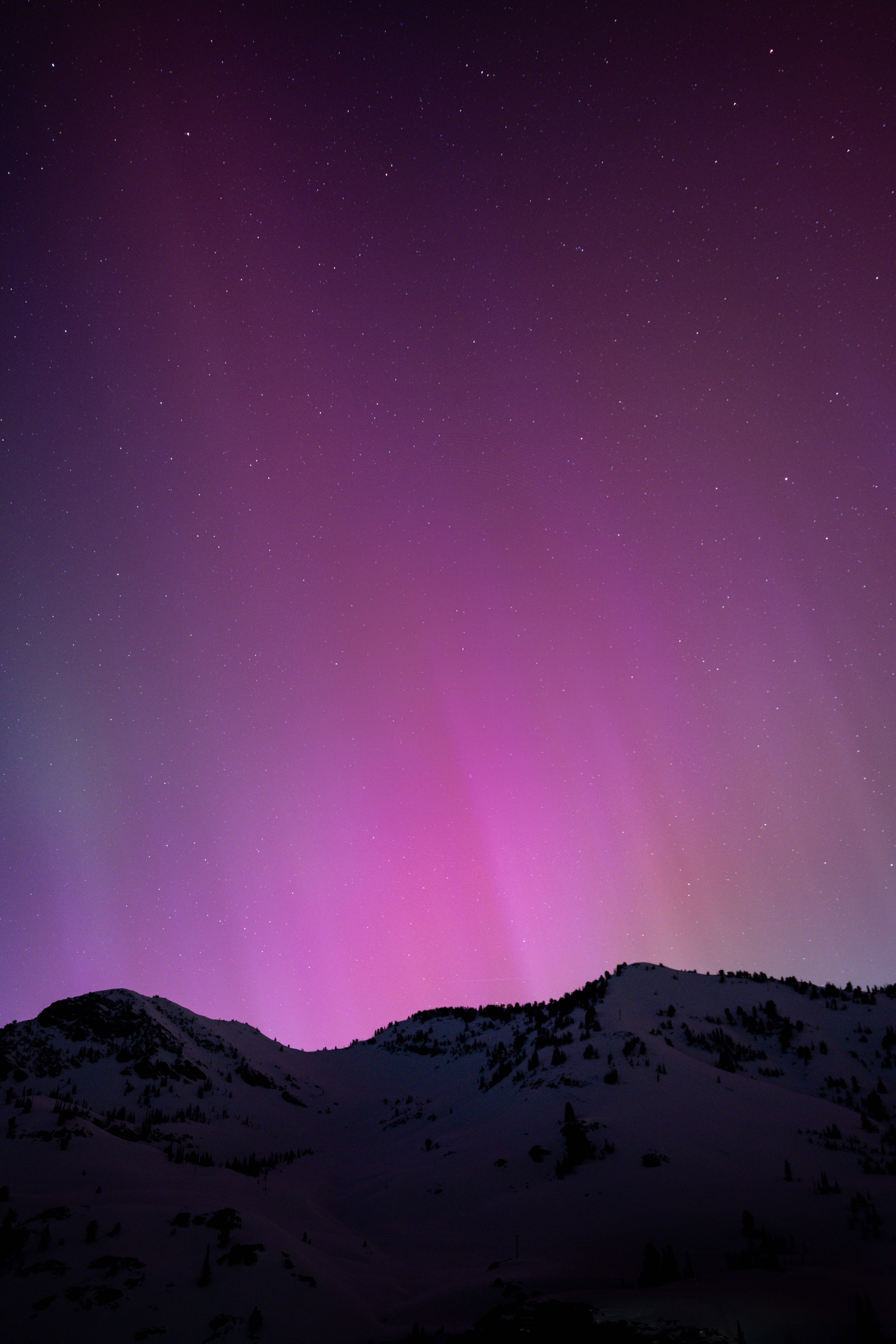 24_Sorensen_AltaAurora-66.jpg