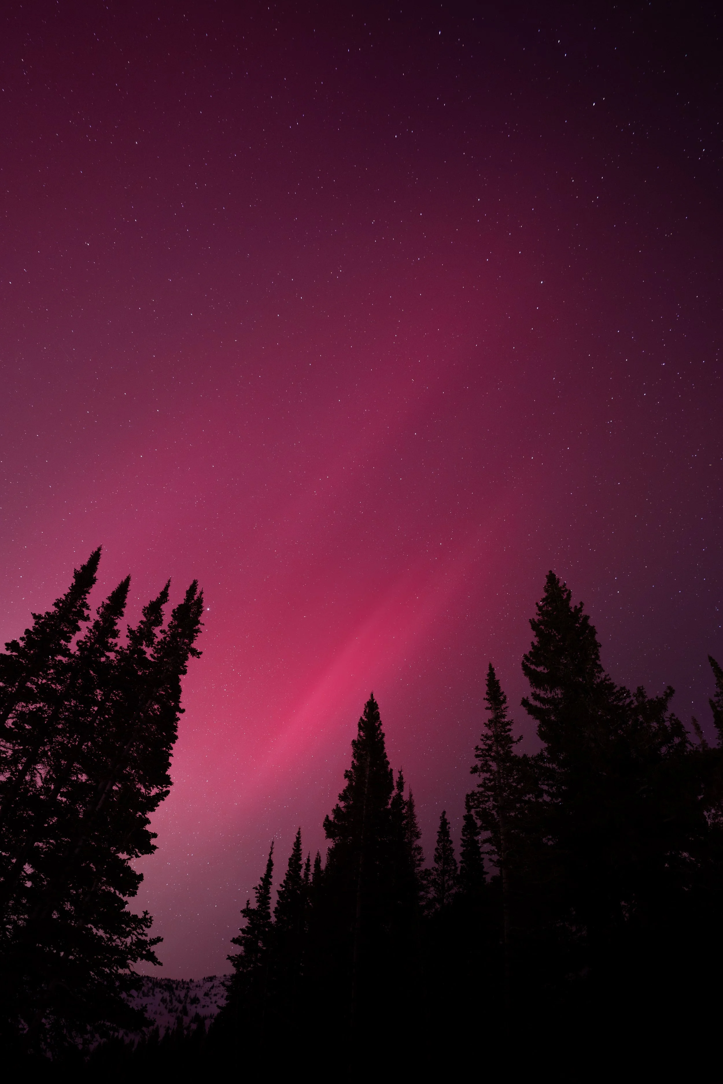 24_Sorensen_AltaAurora-96.jpg
