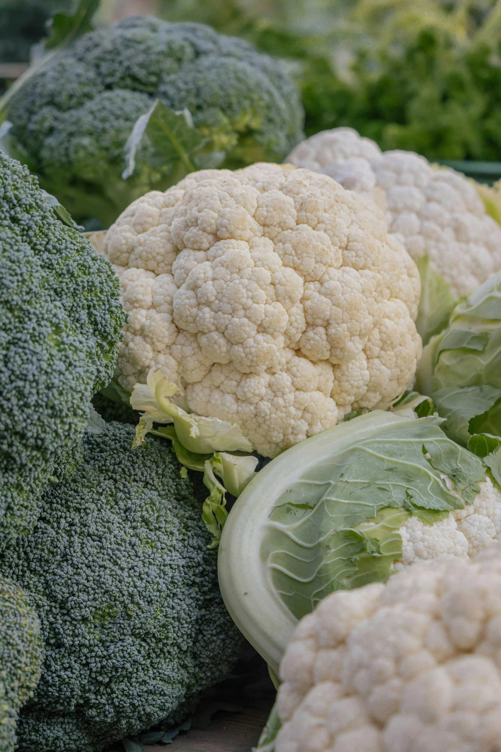 The Top 5 Foods for Women in Perimenopause