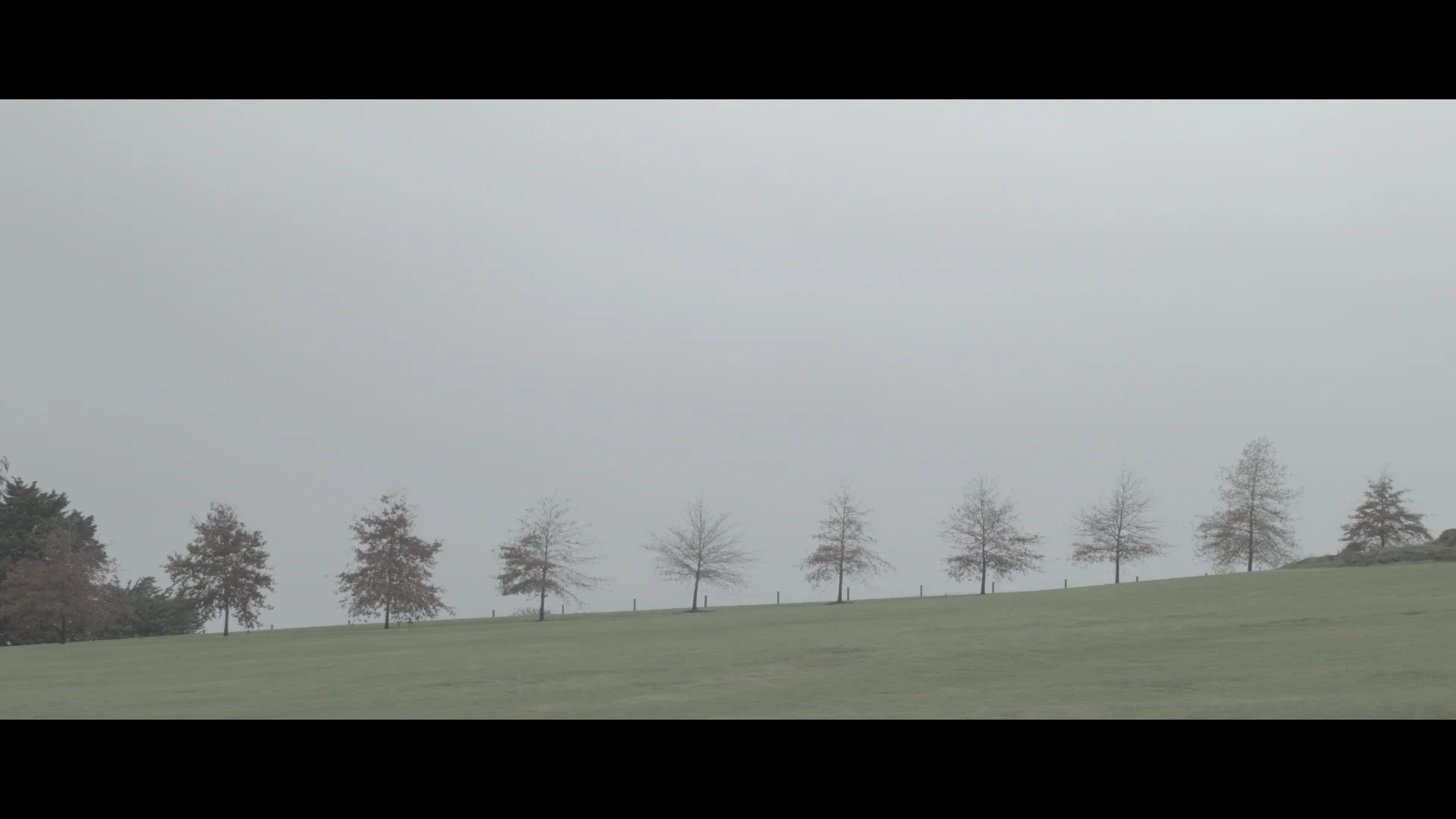 The ungraded still, shot using the Black Magic Pocket, shooting on RAW