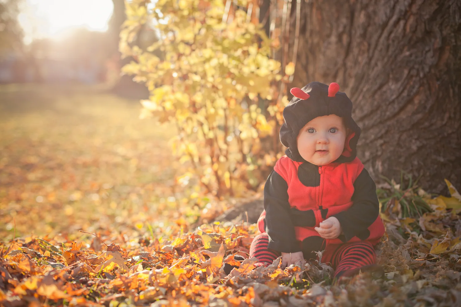 Anna-Coccinelle-29oct2013_imagenomade-0064-2.jpg